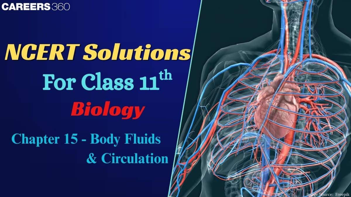 NCERT Solutions for Class 11 Biology Chapter 15 Body Fluids and Circulation